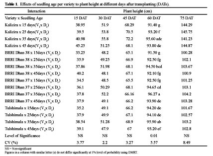 effect of seedling age